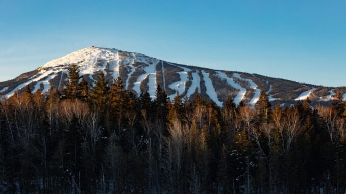 untitled-design---2025-04-07t112836911