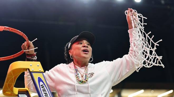 images - 2025-05-22T104508.466